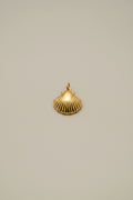 Seashell Charm