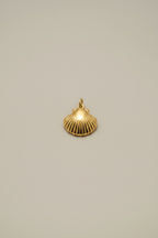 Seashell Charm
