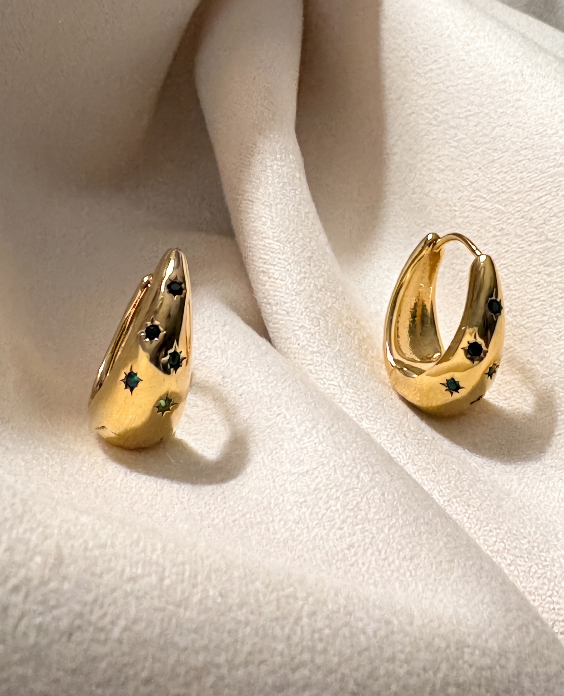 Celeste Sculpted Earrings