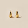 Celeste Sculpted Earrings