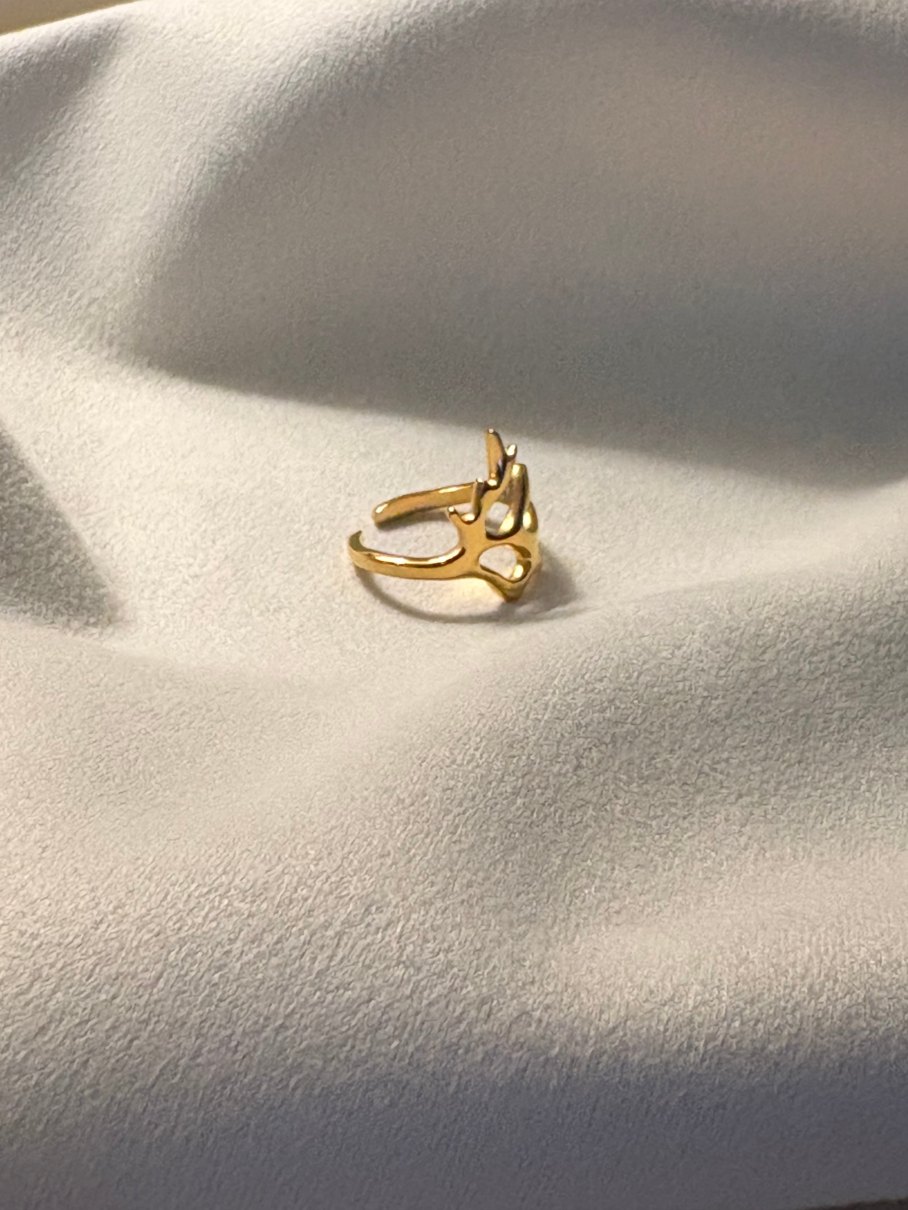Aurelia Abstract Adjustable Ring
