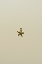Starfish Charm