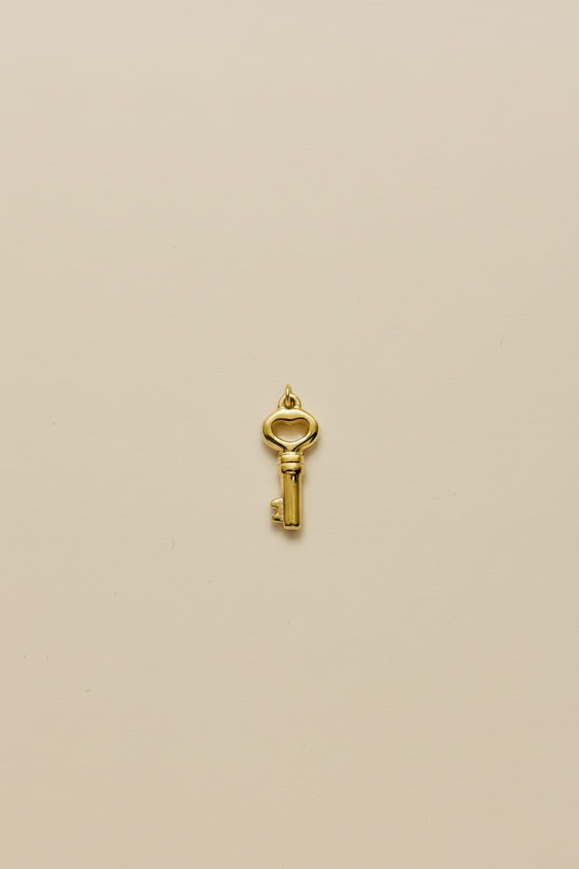 Our Key Charm crafted in 18kt gold plated on 316L grade titanium steel.