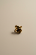 Tiger eye stone ring with 18KT PVD gold plated stainless steel band by NIYANSA.